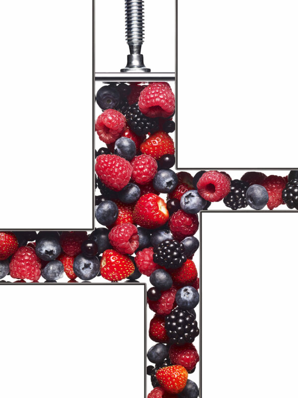 Robertet – Fruits rouges